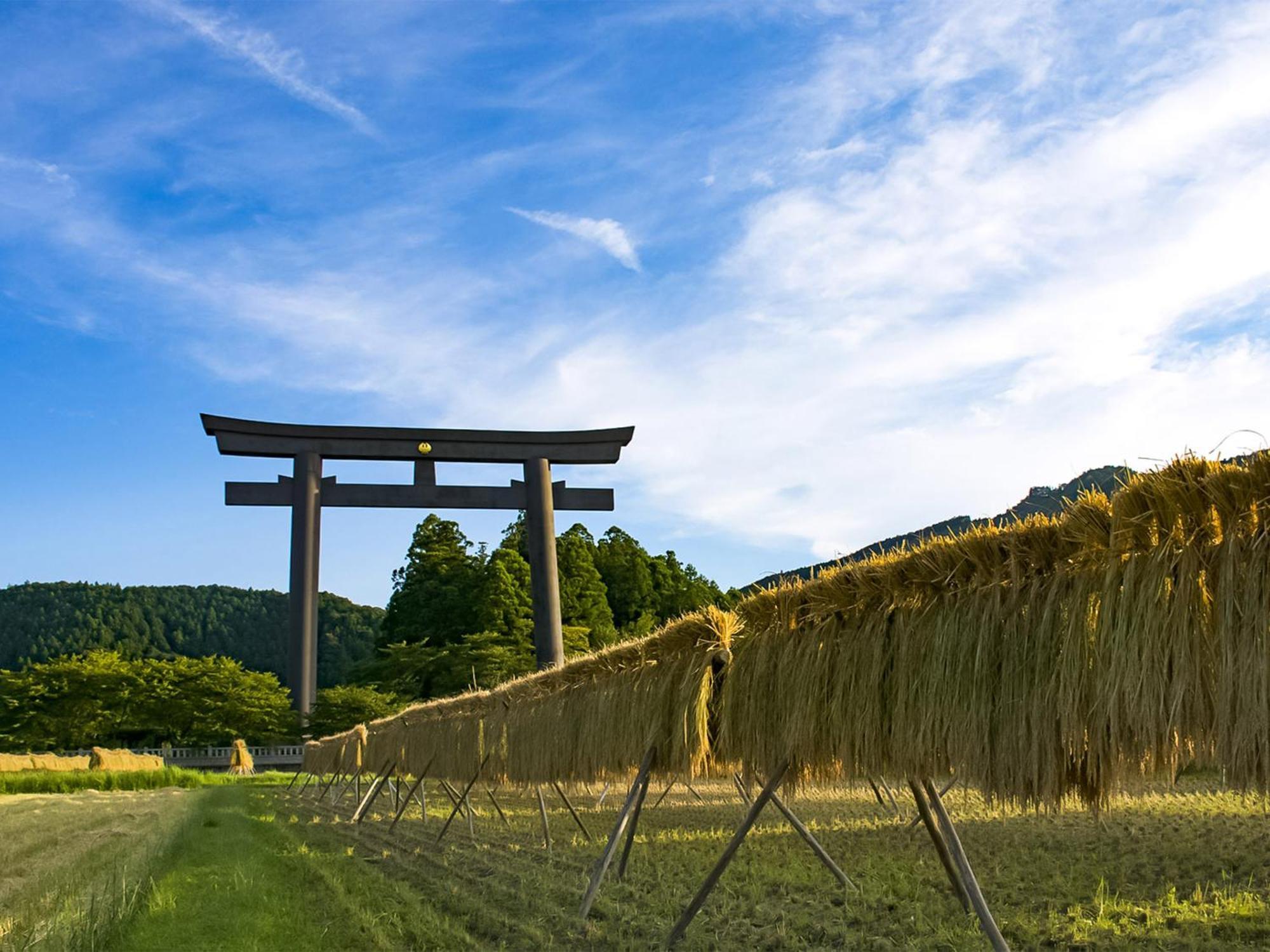 Готель Guest Cafe Kuchikumano Kamitondacho Екстер'єр фото