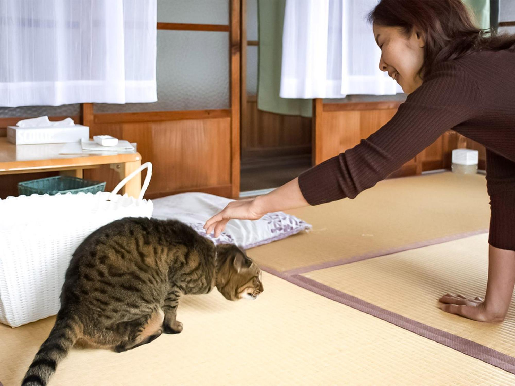 Готель Guest Cafe Kuchikumano Kamitondacho Екстер'єр фото